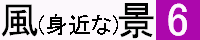 �g�߂ȕ��i