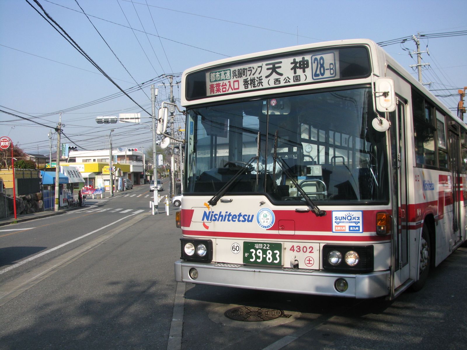 28�Ԃ̖�